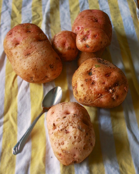 Healthy Loaded Baked Potato Soup 2