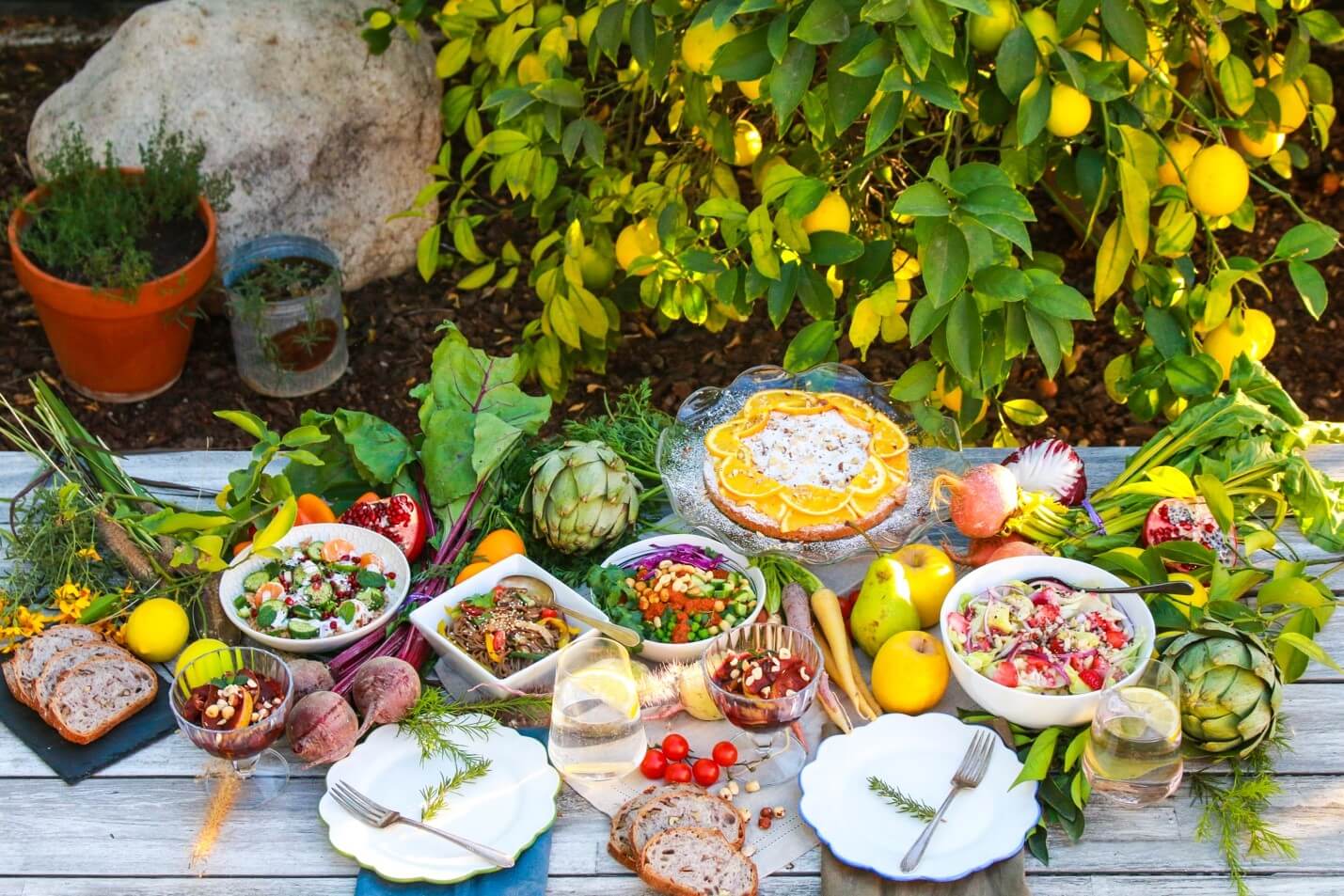 10 Essential Plant-Based Cooking Tips