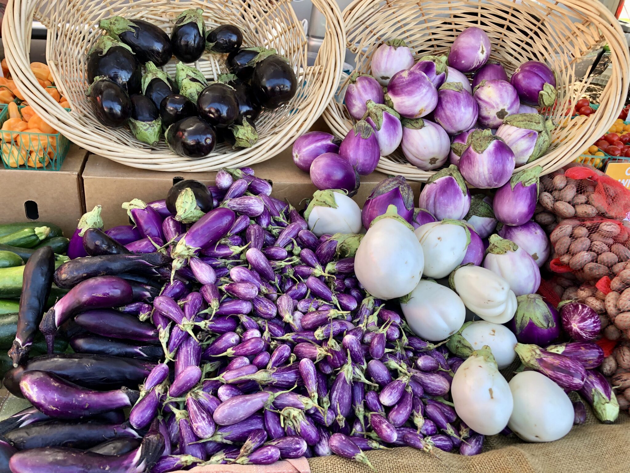 How Can I Make Choices That Support Food Sustainability?