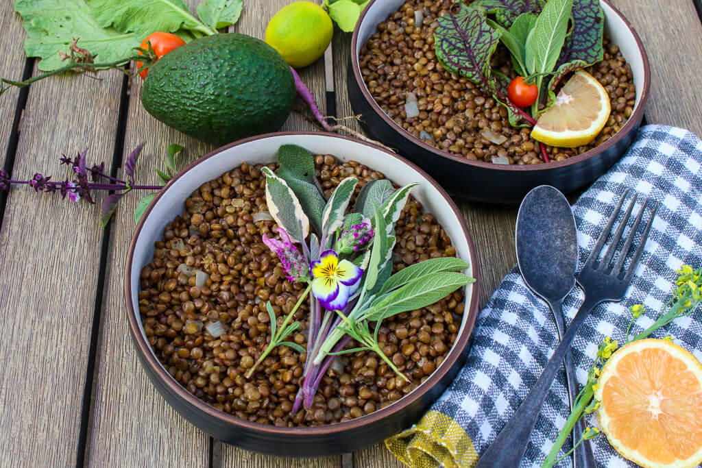 Top 10 Tasty Plant-Based Lentil Recipes