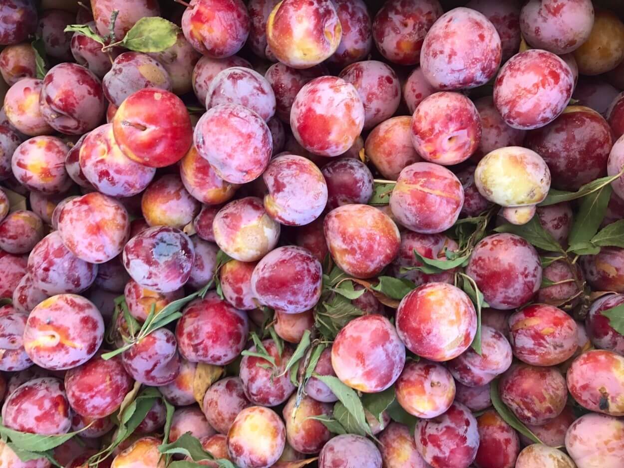 The Many Benefits of Stone Fruit