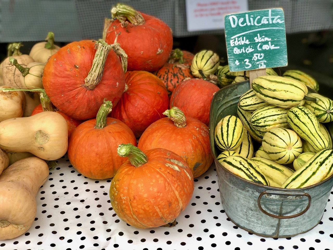 What’s in Season for Fall?