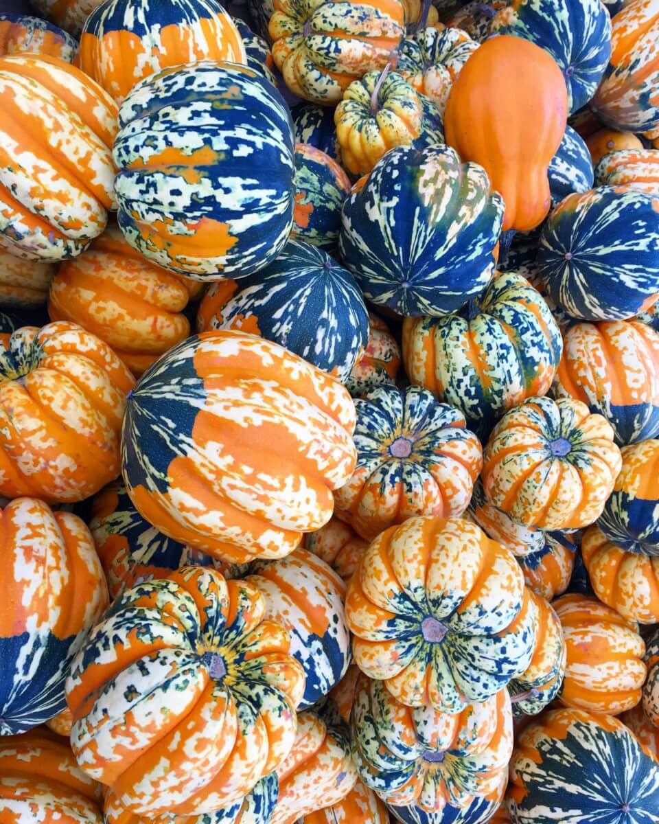 Three Fall Fruits and Vegetables to Try Now!