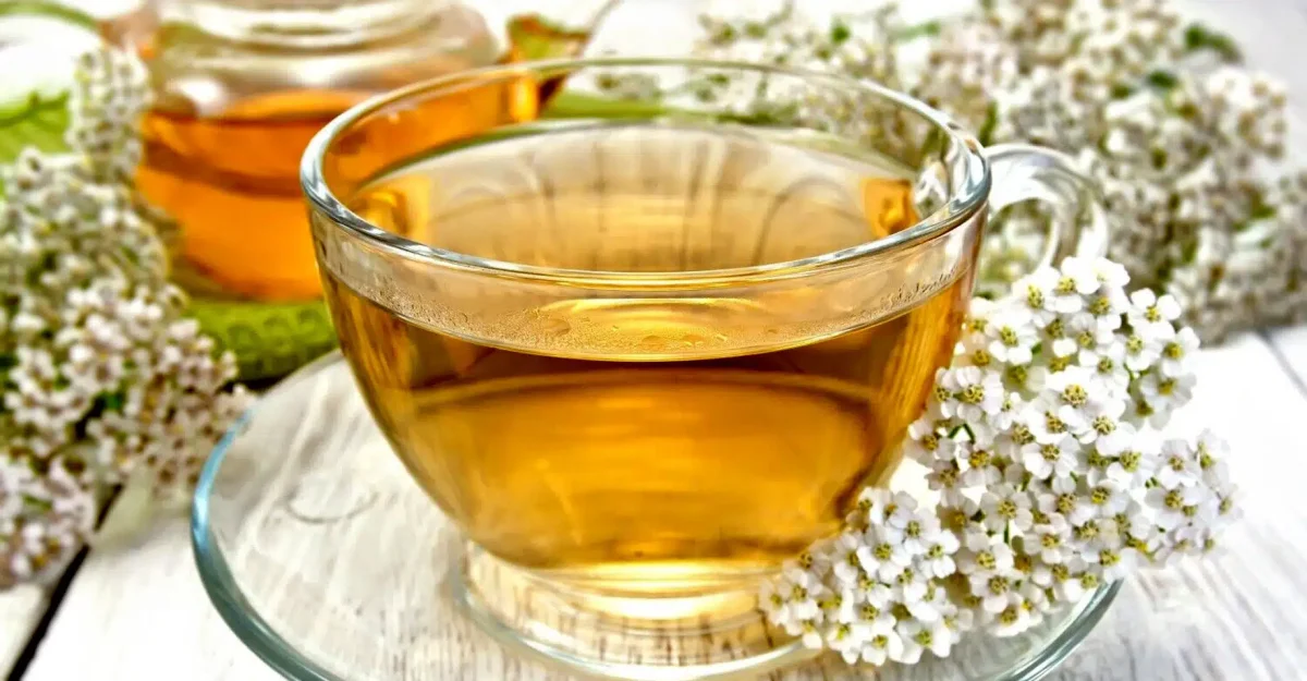 Herbs For Optimum Menstrual Health