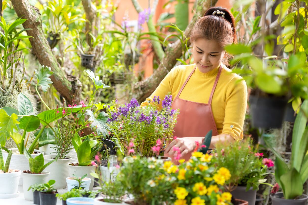 12 Tips for a Thriving Outdoor Garden