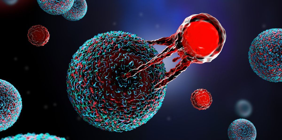 CAR T Cell Therapy 101