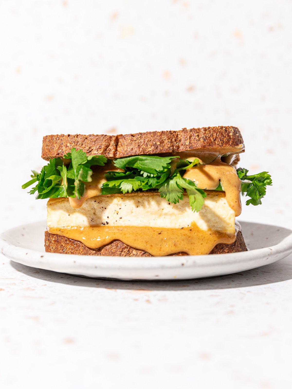 20 Minute Pan-fried Satay Tofu Sandwich