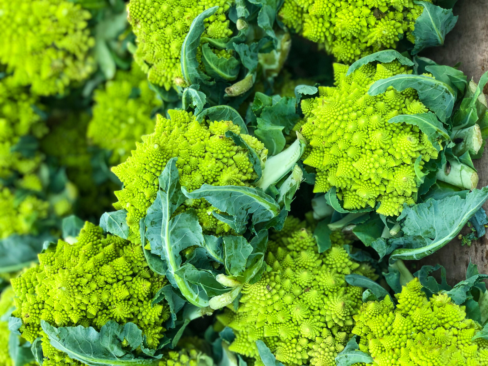 How to Use Romanesco Cauliflower