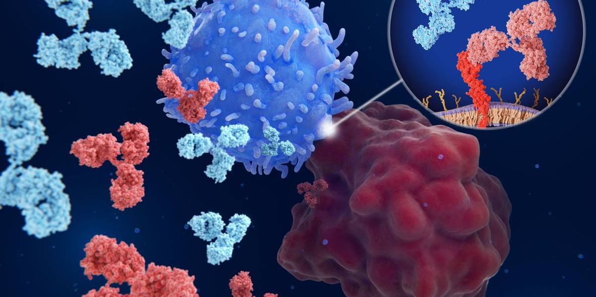 Immune Checkpoint Inhibitors – HealthyWomen