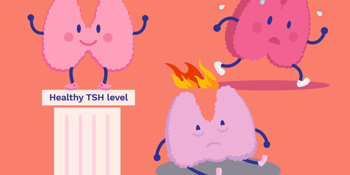 Thyroid Lab Results – HealthyWomen