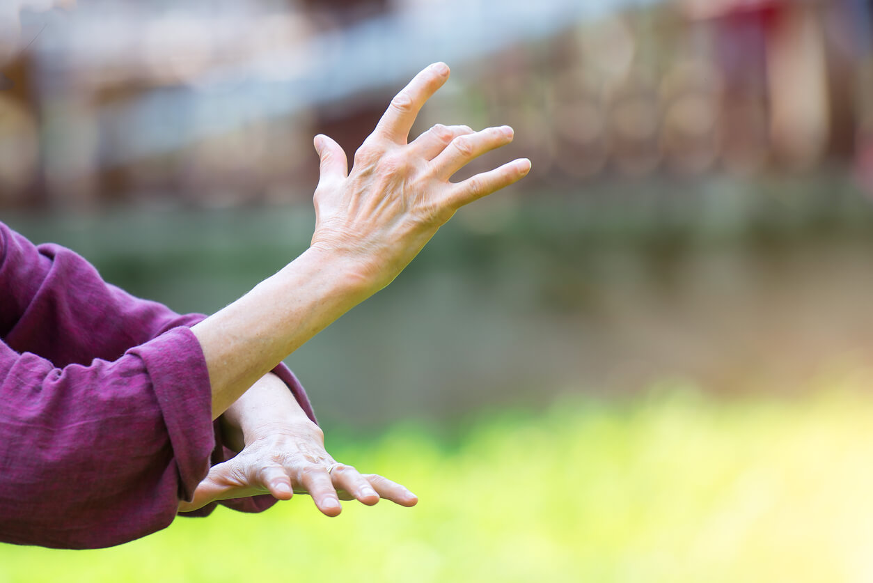 5 Reasons Women 50+ Should Try Tai Chi – Prime Women
