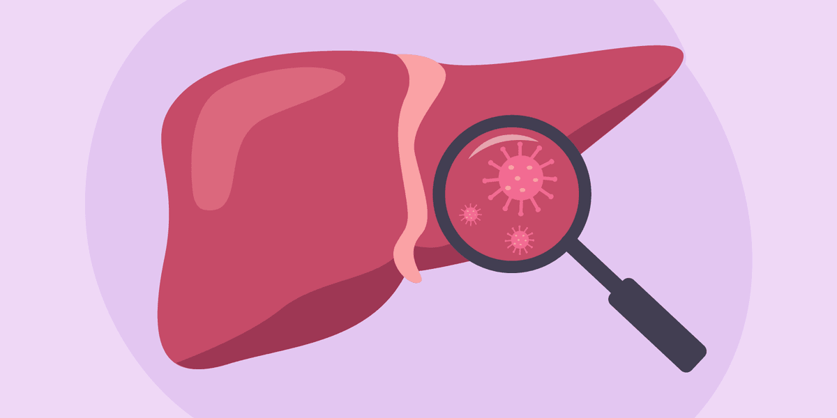 Facts About Liver Disease – HealthyWomen