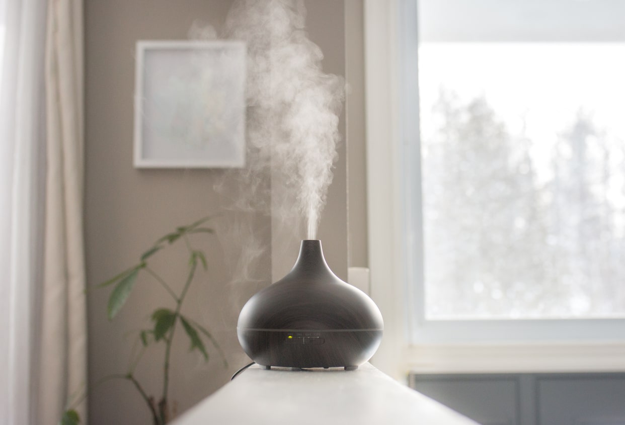 The Best Essential Oils For Purifying Air – Prime Women