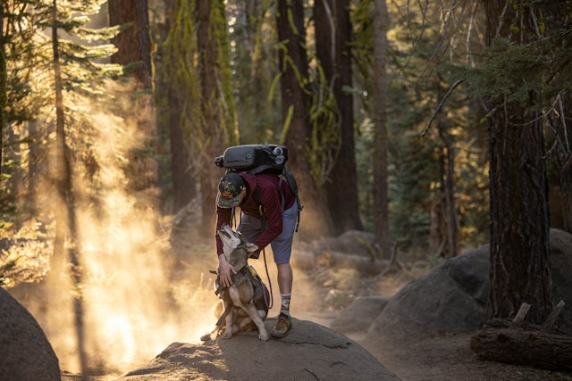 Tips For Hiking With Your Dog In The Fall